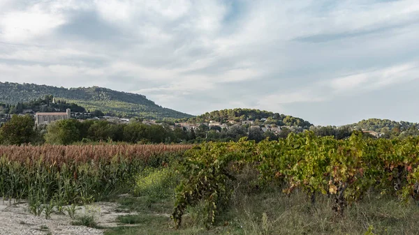 Different Crops Side Side Southern Rhone — Stock Photo, Image