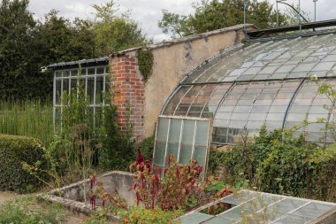 Sarmaşık ve sarmaşıklarla dolu eski bir Fransız taş binası güzel mavi bir gökyüzüne karşı.