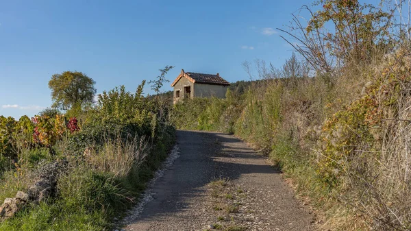 Piccola Casa All Interno Del Vigneto Dove Lavoratori Possono Riposare — Foto Stock