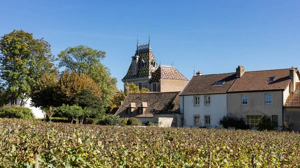 Unieke Daken Van Geglazuurde Kleurrijke Tegels Bourgogne — Stockfoto