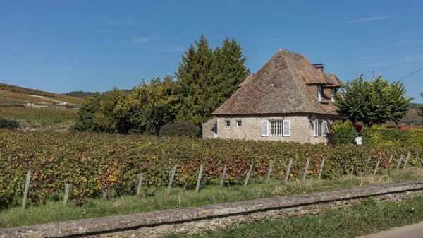 Klein Huis Genesteld Tussen Wijnstokken Bourgogne Regio Van Frankrijk — Stockfoto