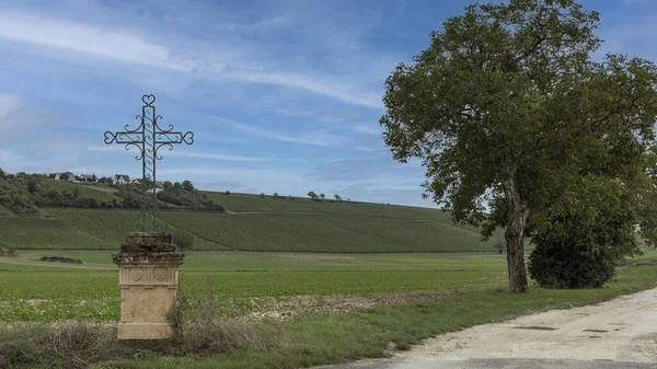 Old Rustic Iron Cross Stood Plinth Vineyards Sancerre Blue Sky — Foto Stock