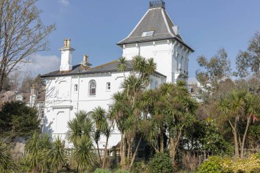 Yukka bitkileri ve mavi gökyüzü olan büyük beyaz bir evin yan görüntüsü 