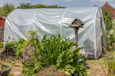 Arka planda mavi gökyüzü olan bir tünel önünde kuş masası ve yeşil yapraklar.