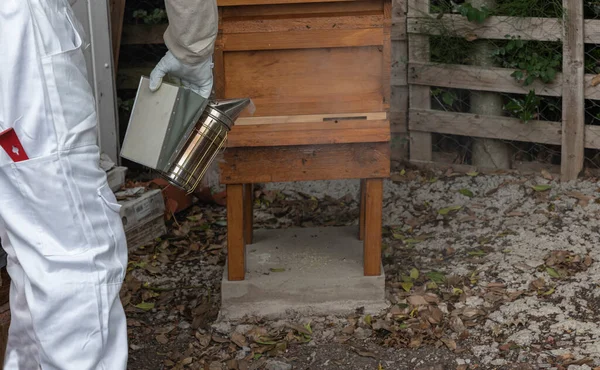 Beekeeper Stood Next Hive Using Smoker Calm Bees — Stock Photo, Image