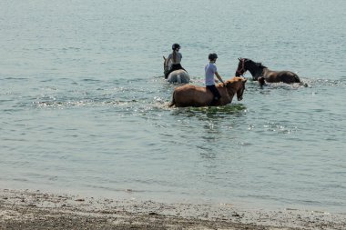 Three horses and riders on their backs cooling off in the sea