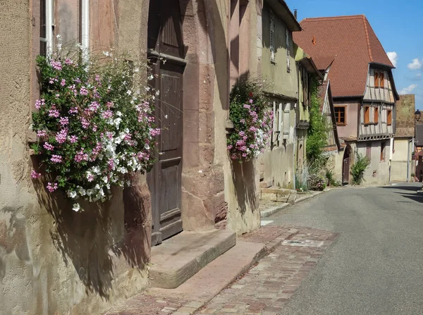 pink and white flowers on the wall of an ancient Alsation village looking down the street at all the old buildings