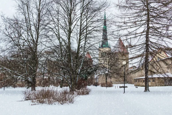 Karlı kış gününde Tallinn Eski Kasabası 'nın arka planında ve kulelerinde Kule' nin panoramik manzarası, Estonya