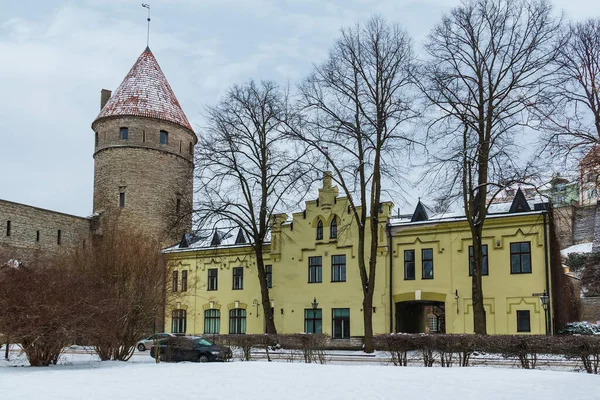 冬の曇りの日に グムナシミ通りのエストニア芸術アカデミーとヌンズタワー タリン旧市街 エストニア — ストック写真