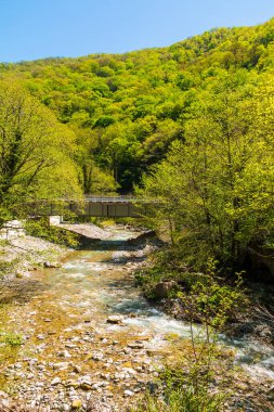 Kuapse river with bridge on the background of mountain with thicket in sunny day, Sochi, Russia