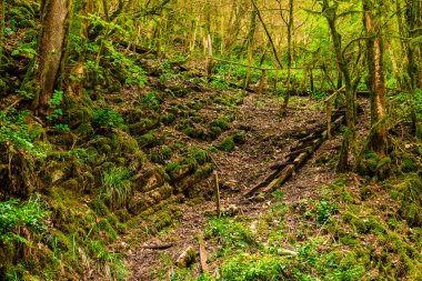 Dilapidated staircase of the trail on mountainside in the ravine Chudo-Krasotka, Sochi, Russia