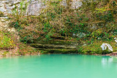 The rocky steep wall of mountain with moss and ivy over Khosta River in Yew and Box-tree Grove in autumn day, Sochi, Russia
