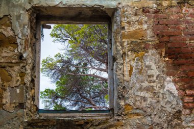 View of a tree branches from the window of the abandoned old mansion called Dacha Kvitko, Sochi, Russia
