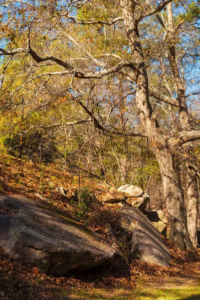 Autumn Landscape Boulders Thicket Sunny Day — Fotografia de Stock