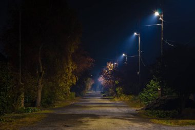 Sonbaharda aydınlanan Mendeleyeva Sokağı 'nın güzel manzarası, Kurgan, Rusya