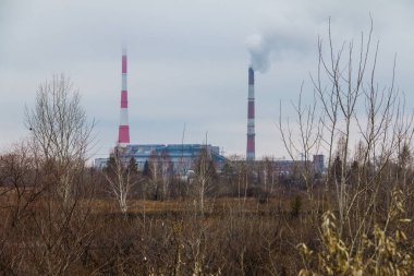 CHP elektrik santralinin arka planındaki ağaçlar, Kurgan, Rusya 'nın bulutlu sonbahar gününde