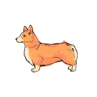 Şirin Corgi köpeği. Düz vektör çizimi. El çizimi grafik