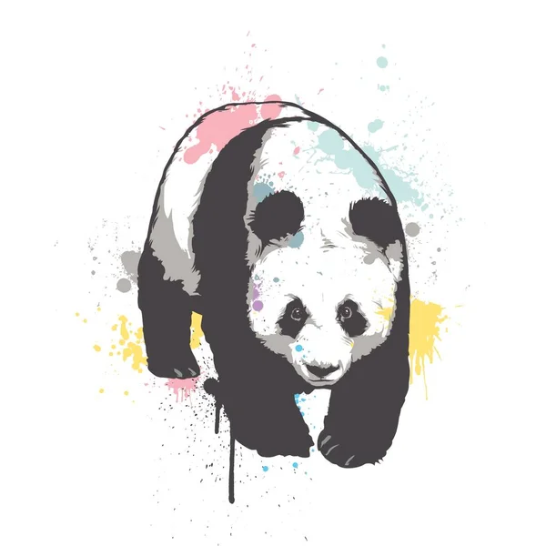 Le panda géant marche. Graphique vectoriel dessiné à la main Graphismes Vectoriels