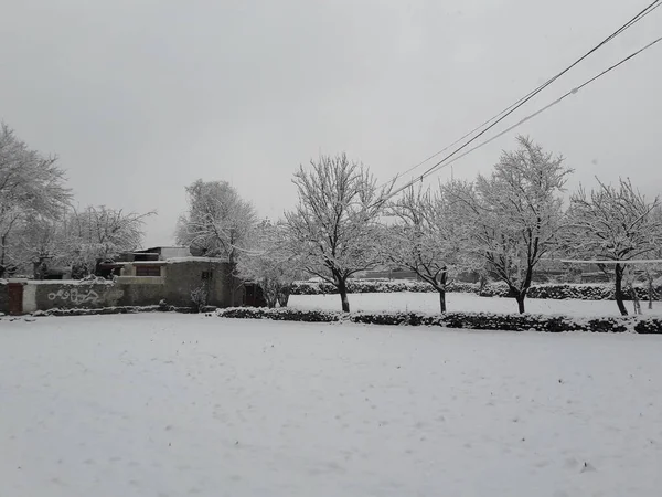 Schnee Mit Einem Fahrrad Bedeckt — Stockfoto