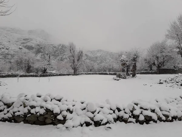 Schnee Mit Einem Fahrrad Bedeckt — Stockfoto