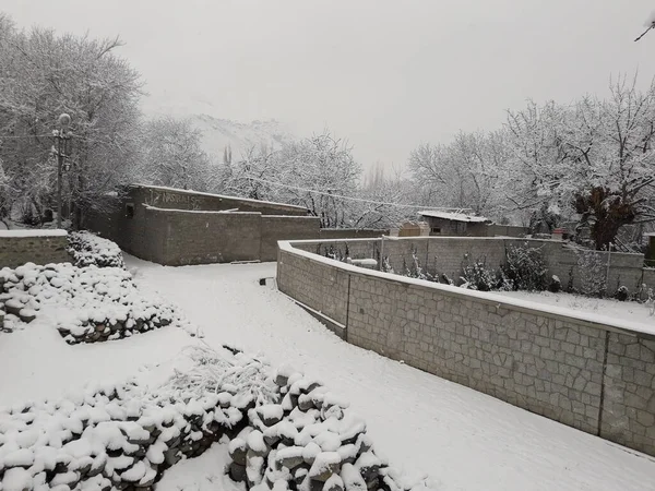 Karla kaplı ağaçlarla kaplı kış manzarası