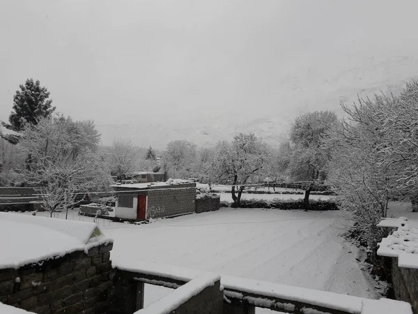 Winterlandschaft Mit Schneebedeckten Bäumen — Stockfoto