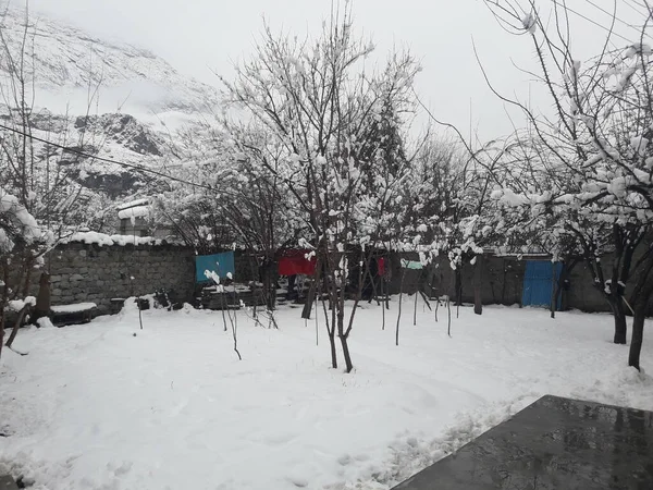 Karla kaplı ağaçlarla kaplı kış manzarası