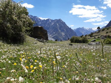 Çiçekleri ve dağları olan güzel bir manzara.