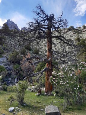 Dağların güzel manzarası