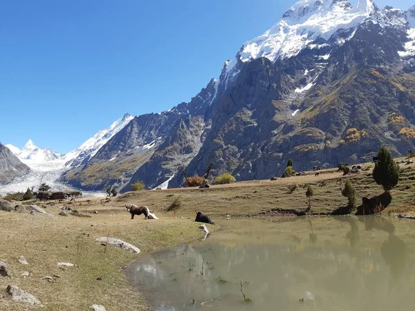 Dağlarda gölü olan güzel bir manzara.