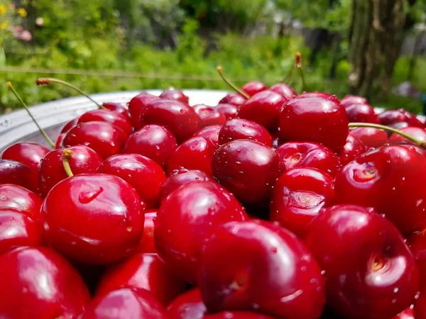 Ciliegie Rosse Fresche Una Ciotola Uno Sfondo Legno — Foto Stock