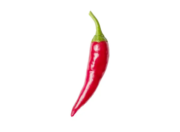 Izolált Chili Jalapeno Paprika Fehér Fűszeres Zöldség Jogdíjmentes Stock Fotók