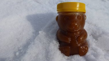 Beautiful teddy bear on a background of snow