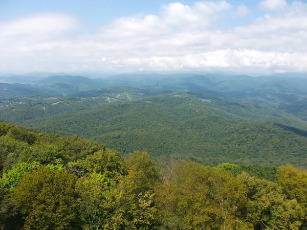 Dağ manzaralı yaz manzarası. Krasnodar Bölgesi 'nin doğası. Rusya, Soçi..