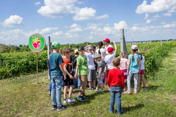 植物の成長 イチゴ 教師と一緒に遠足の子供たち — ストック写真