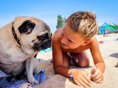 Çocuk kumlu bir plajda oturan bej bir pug ile iletişim kuruyor.