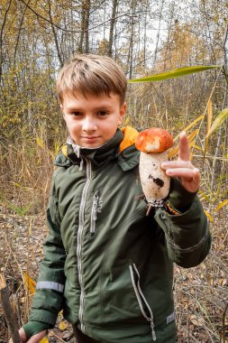 Çocuk sonbaharda ormanda büyük bir mantar buldu.