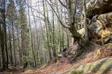  Western Ukraine, Tustan Fortress, Carpathians, historical and cultural reserve