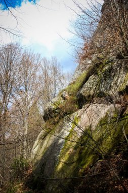  Batı Ukrayna, Tustan Kalesi, Karpatlar, tarihi ve kültürel rezerv
