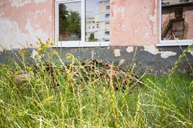 Genç bir kız, terk edilmiş bir binanın eski duvarının yanında kamuflaj kıyafetiyle çimlerin üzerinde yatıyor.