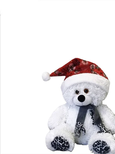 Белый Плюшевый Медведь Красной Шляпе Сидит Белом Фоне — стоковое фото