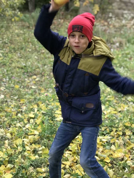 Junge Hat Spaß Garten Auf Einem Gelben Blatt — Stockfoto