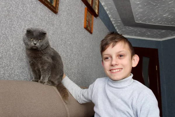 Хлопчик Сірою Кішкою Сидить Дивані Посміхається — стокове фото