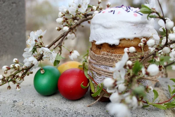 Пасхальні Торти Великодні Яйця Весняна Гілочка — стокове фото