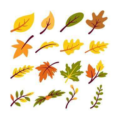 Illustration of various branch and leaves set. Isolated on white background. Elements for autumn needs