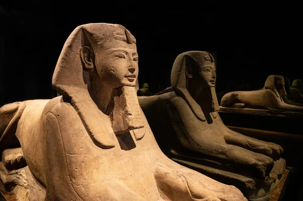 Reflection Stone Egyptian Sphinx Perspective Dark Room — стоковое фото