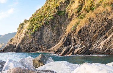 Kaya kıyısından, ilginç bir kaya yapısı ve deniz kıyısına yakın ağaçlardan ve kaktüslerden oluşan vahşi çalılıklara bakan dev bir kayaya bakın.