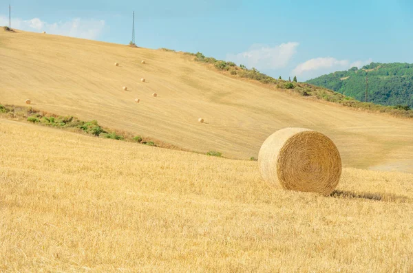 One Large Stack Straw Rolled Roll Several Small Ones Distance — Stockfoto