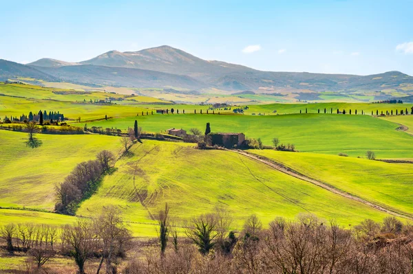 Tuscan Landscape Hills Roads Thujas Mountains Streak Blue Sky Horizon — Stockfoto