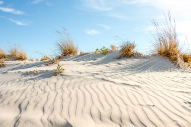 Güzel beyaz kumlu tepe, uzun kuru çimenler bulutlu mavi gökyüzüne karşı.